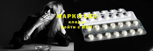 спиды Алзамай