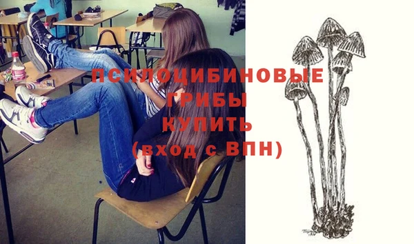 спиды Алзамай