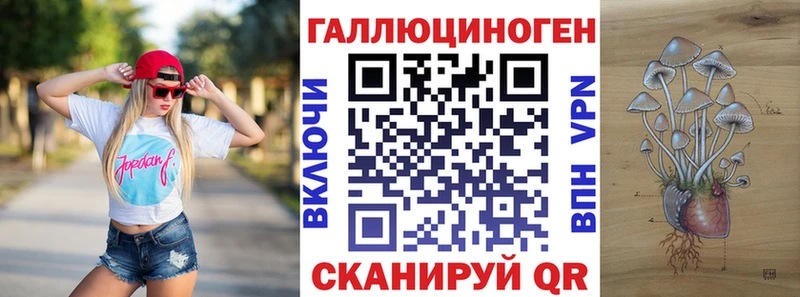 Псилоцибиновые грибы Cubensis продажа наркотиков Дубна