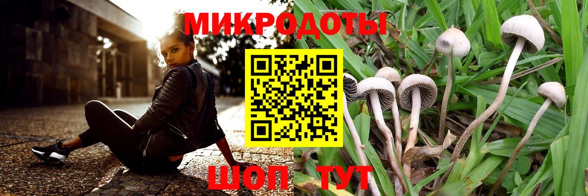 Псилоцибиновые грибы Magic Shrooms Дубна