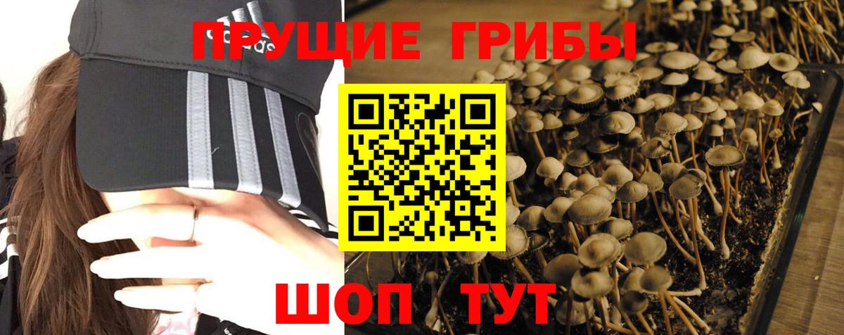 Псилоцибиновые грибы Psilocybine cubensis  Вход с VPN  Галлюциногенные грибы Cubensis  Дубна 